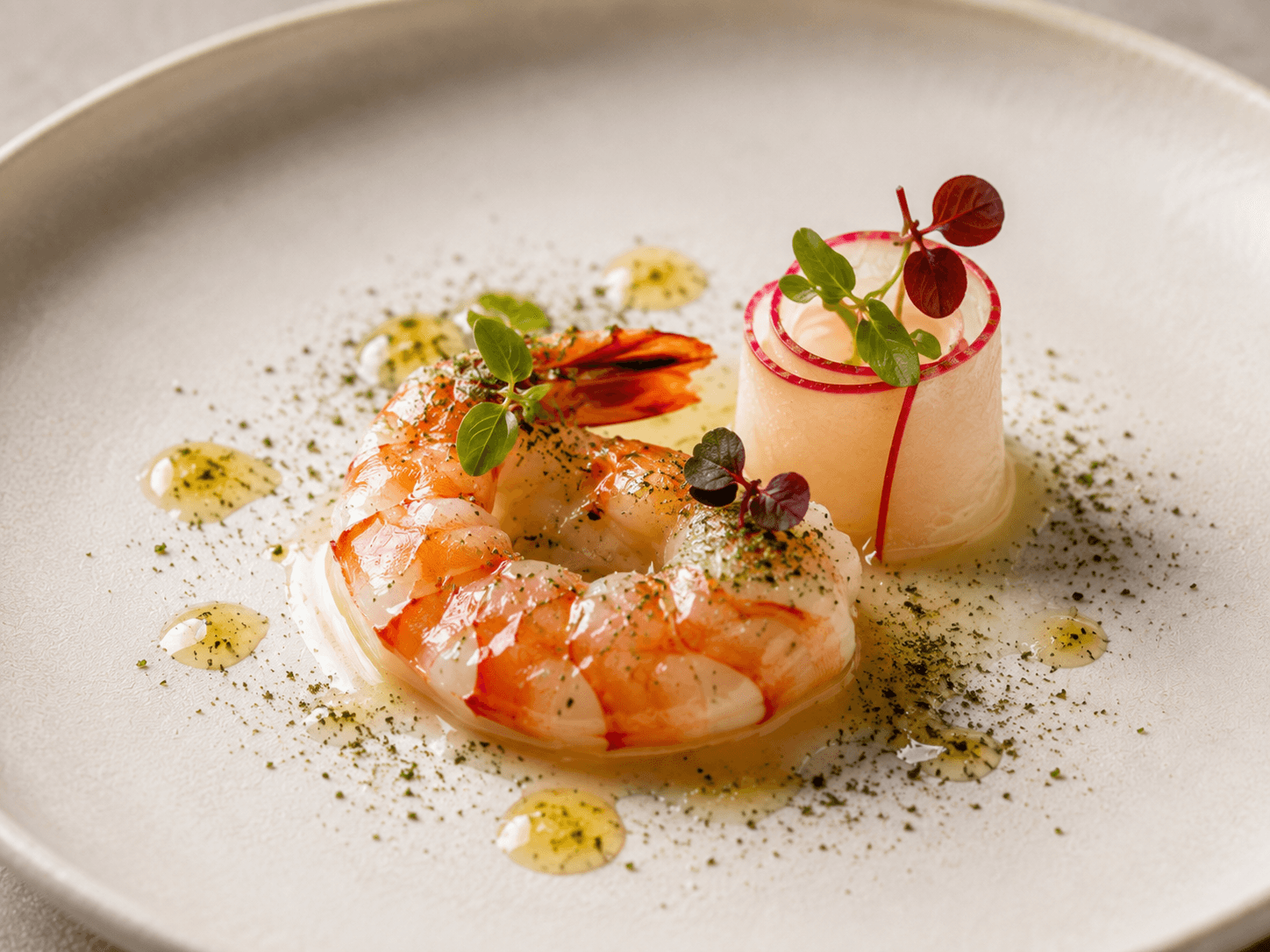 Gamba | Yuzu | Rettich | Aoasa